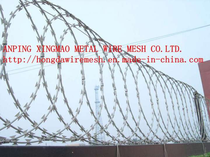 Razor Wire/Barbed Wire/Razor Barbed Wire (fencing mesh)